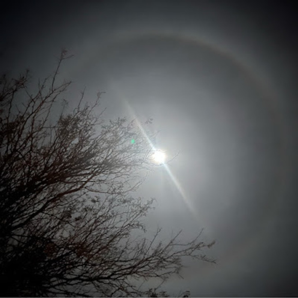 Meet your Posher, Nancy - Picture 1 of 1